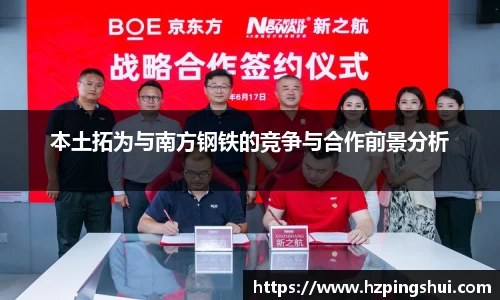 本土拓为与南方钢铁的竞争与合作前景分析